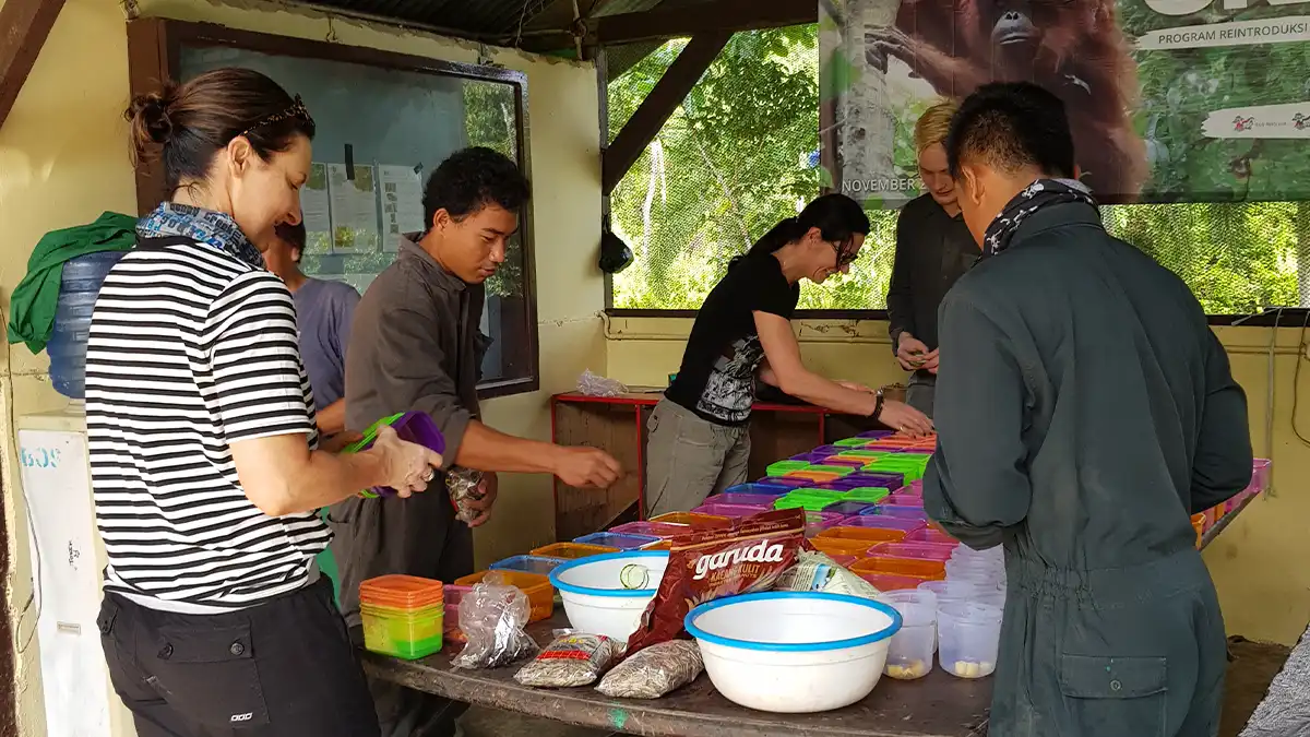 visit orangutan sanctuary borneo